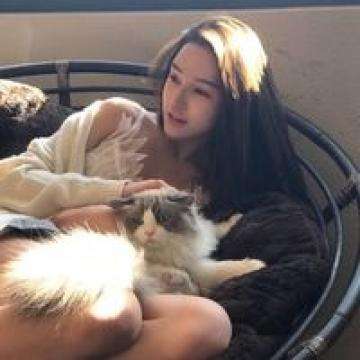 猫灵相册测试服下载